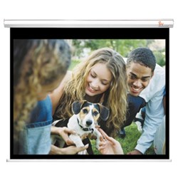 Grandview Wall Screen 1710 x 1280mm Video Format