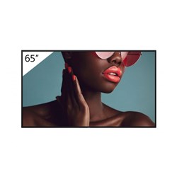 SONY 65" 4K UHD Professional Bravia BZ40L Display