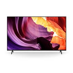 Sony 55" Bravia 4K HDR Professional Display TV