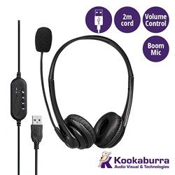 Headset with Boom Mic USB Volume Control