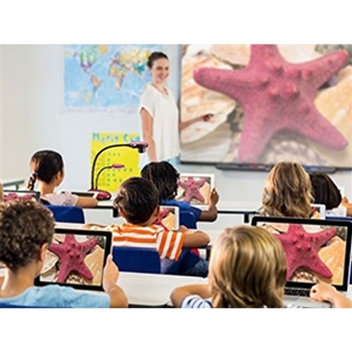 Lumens DC193 Document Camera High Resolution