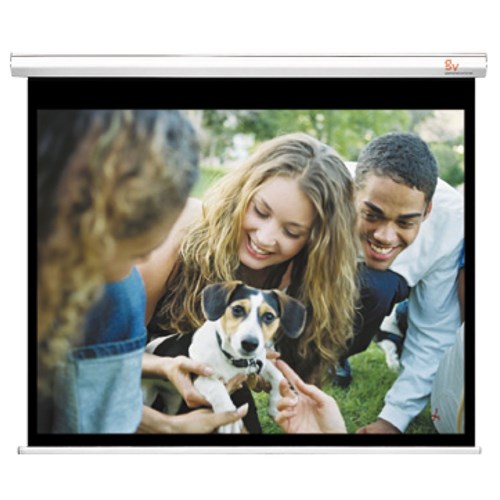 Grandview Wall Screen 2340 x 1755mm Video Format