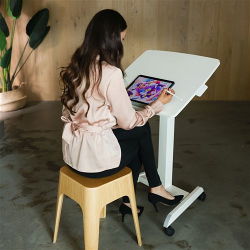 CommBox Roamer Tilt Teacher Trolley