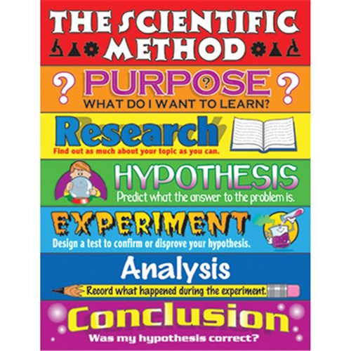 chart the scientific method scientific method poster