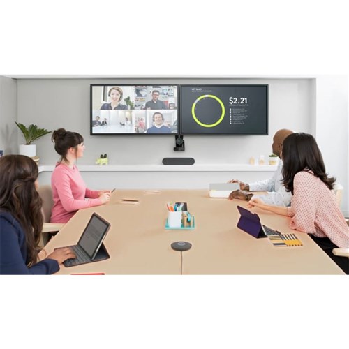 Logitech Rally Speaker