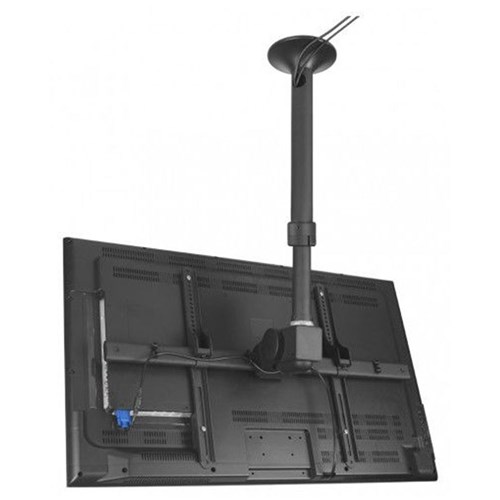 Atdec Display Ceiling Mount up to 65kg