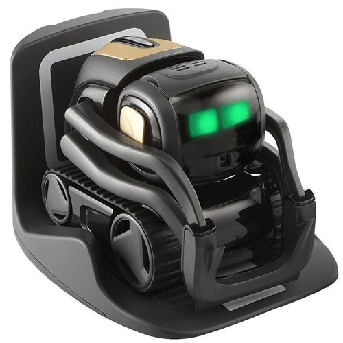 ZMG000-00079 - ANKI Vector robot by Anki - Kookaburra