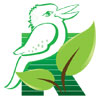 Kookaburra Green